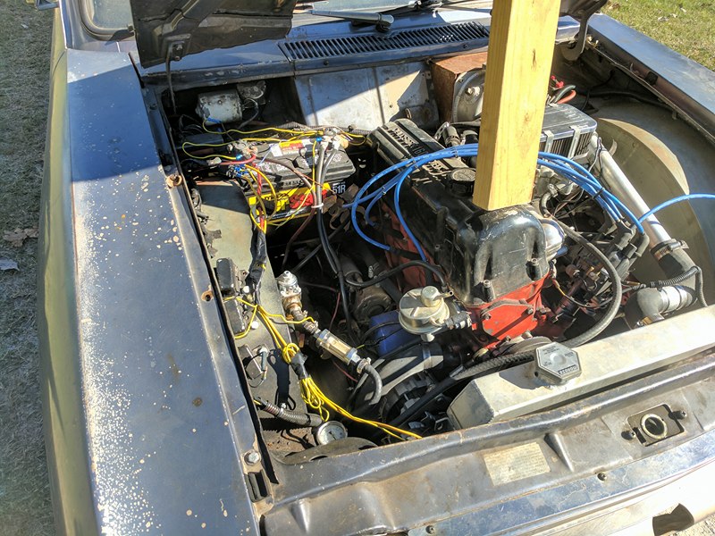 15139717_1156442721059287_610735785_n