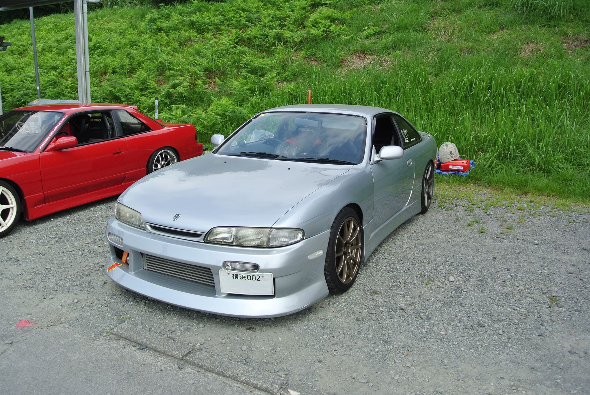 %e7%be%8e%e6%a8%b9-1