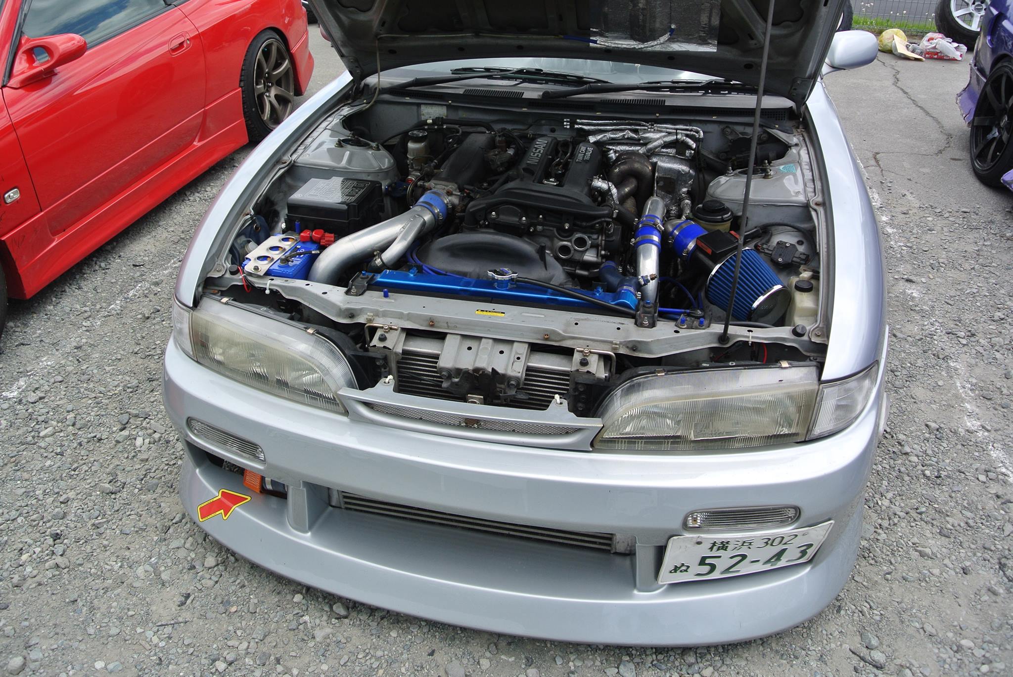 %e7%be%8e%e6%a8%b9-2