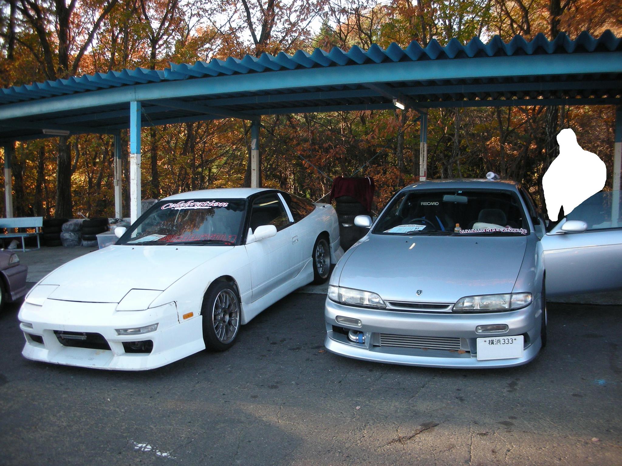 %e7%be%8e%e6%a8%b9-3