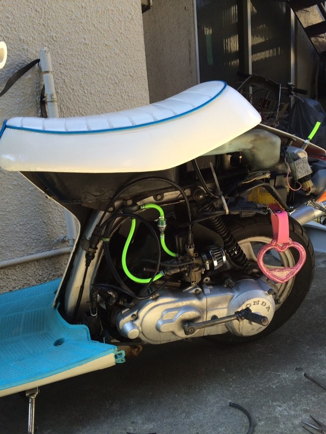 21436013_307571563040582_8907529333136949248_n