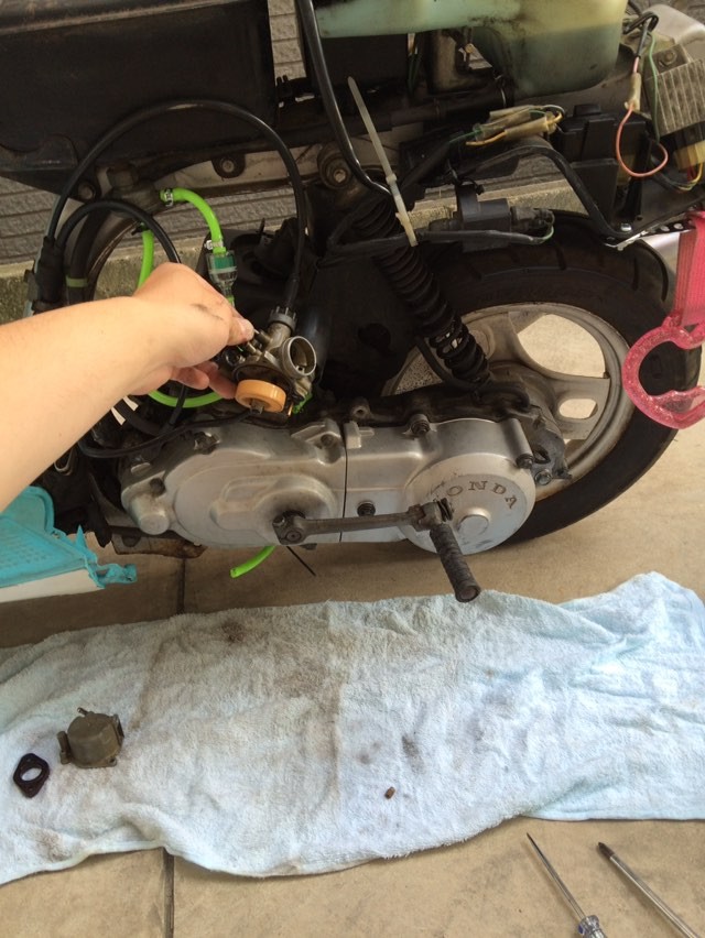 21568613_1751138895186723_7482773567340281856_n