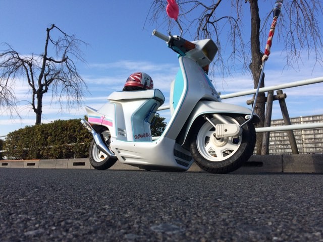 21576856_339566436488243_7075463638064037888_n